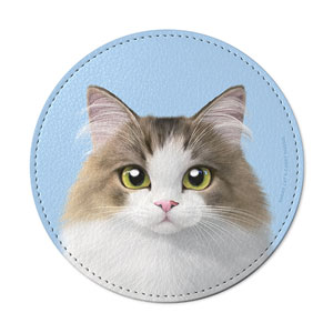 Summer the Norwegian Froest Leather Coaster