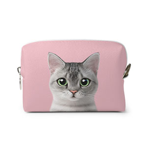 Cookie the American Shorthair Mini Volume Pouch