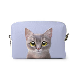 Leo the Abyssinian Blue Cat Mini Volume Pouch