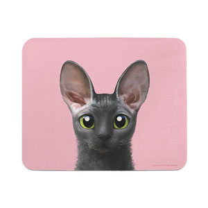 Cong the Cornish Rex Mouse Pad