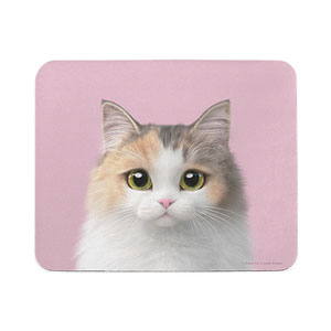 Gucci the Munchkin Mouse Pad