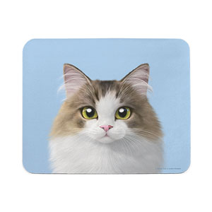 Summer the Norwegian Froest Mouse Pad