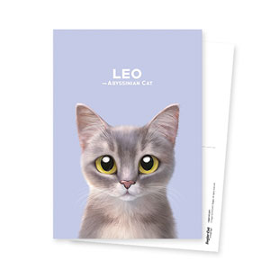 Leo the Abyssinian Blue Cat Postcard