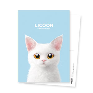 Licoon Postcard