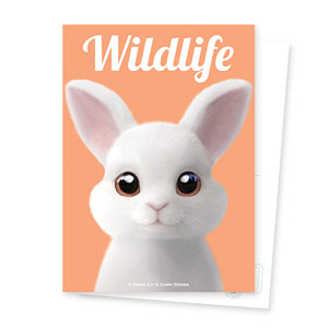 Carrot the Rabbit Magazine Postcard