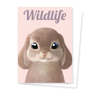 Daisy the Rabbit Magazine Postcard