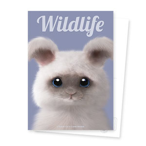 Fluffy the Angora Rabbit Magazine Postcard