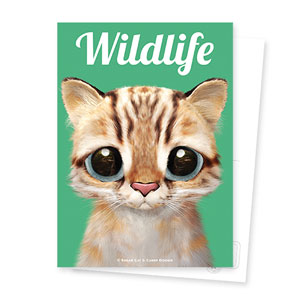 Leo the Leopard cat Magazine Postcard