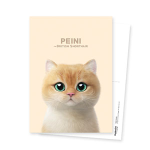 Peini Postcard
