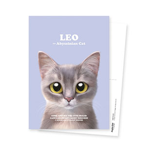 Leo the Abyssinian Blue Cat Retro Postcard