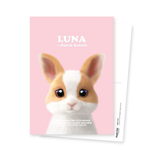 Luna the Dutch Rabbit Retro Postcard