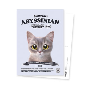 Leo the Abyssinian Blue Cat New Retro Postcard
