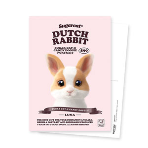 Luna the Dutch Rabbit New Retro Postcard