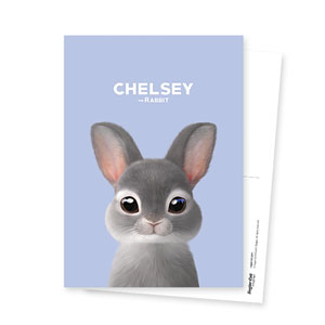 Chelsey the Rabbit Postcard