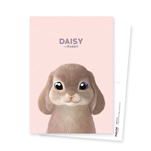 Daisy the Rabbit Postcard