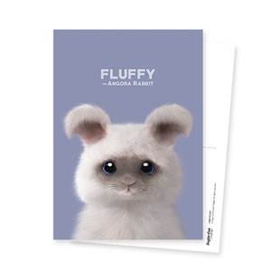 Fluffy the Angora Rabbit Postcard