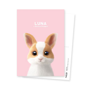 Luna the Dutch Rabbit Postcard