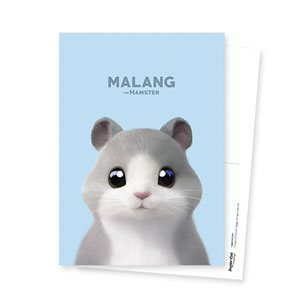 Malang the Hamster Postcard