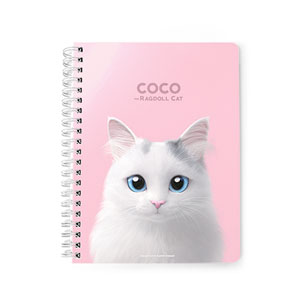 Coco the Ragdoll Spring Note
