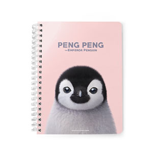 Peng Peng the Baby Penguin Spring Note