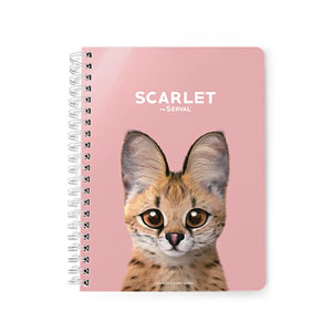 Scarlet the Serval Spring Note