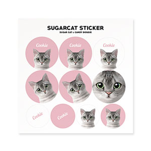 Cookie the American Shorthair Sticker