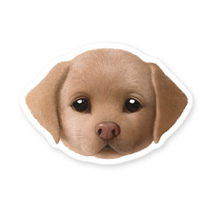 Cocoa the Labrador Retriever Face Deco Sticker