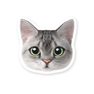 Cookie the American Shorthair Face Deco Sticker