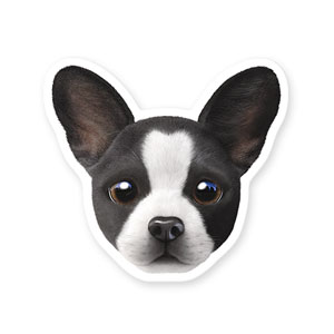 Franky the French Bulldog Face Deco Sticker