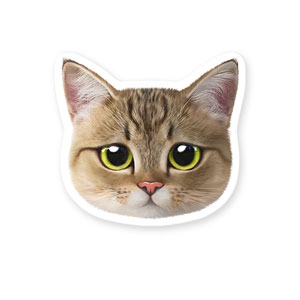 Lulu the Tabby cat Face Deco Sticker