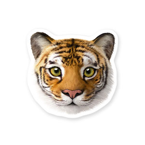 Tigris the Siberian Tiger Face Deco Sticker